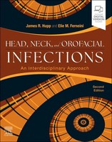 Head, Neck, And Orofacial Infections | A Multidisciplinary Approach | Englisch