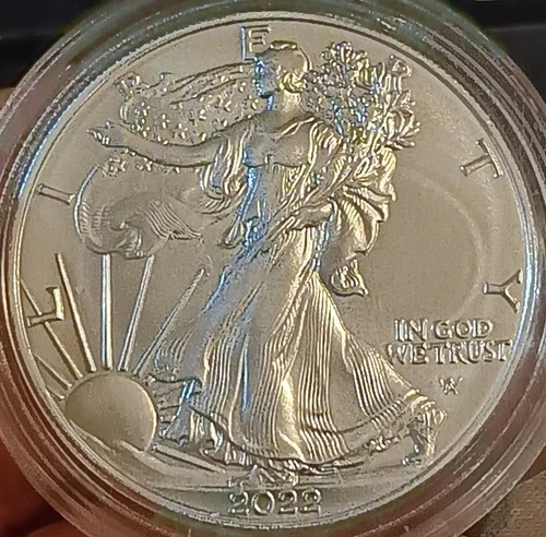 2022 Silver Eagle 1 oz CHOICE BU .999 fine Silver Bullion 1 Troy Ounce