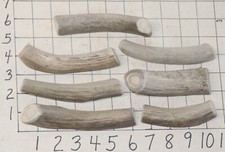7 Split Deer Antler Dog Chew Treats Crafts