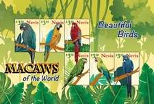 Nevis 2021 - Macaws Parrots Birds - Sheet of 6 Stamps - Scott #2038 - MNH