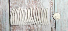 2 Inch Smooth Dentalium Shells, 20 Pieces
