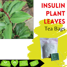 Organic Insulin Plant Costus Igneus Leaves Tea Bag Dried Diabetic Herbal Tea