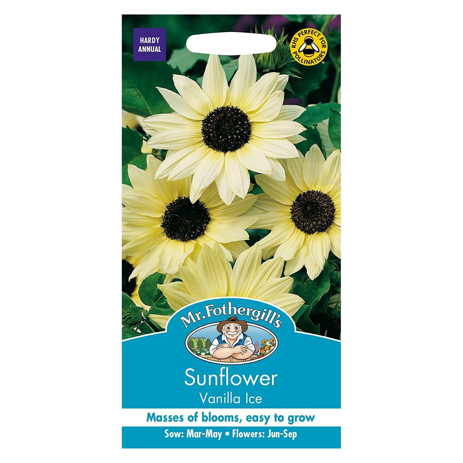 Mr Fothergills Flower Seeds Sunflower Vanilla Ice Pale Yellow Ideal Cut Flower