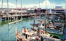 San Francisco CA Fisherman’s Wharf C4240 Postcard