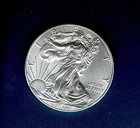 2014 AMERICAN SILVER EAGLE 1 oz  .999  $1 COIN  UNCIRCULATED  UNC