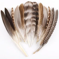 12 PCS 6-Style Natural Pheasant Feathers for DIY Crafts Hat Halloween Decor