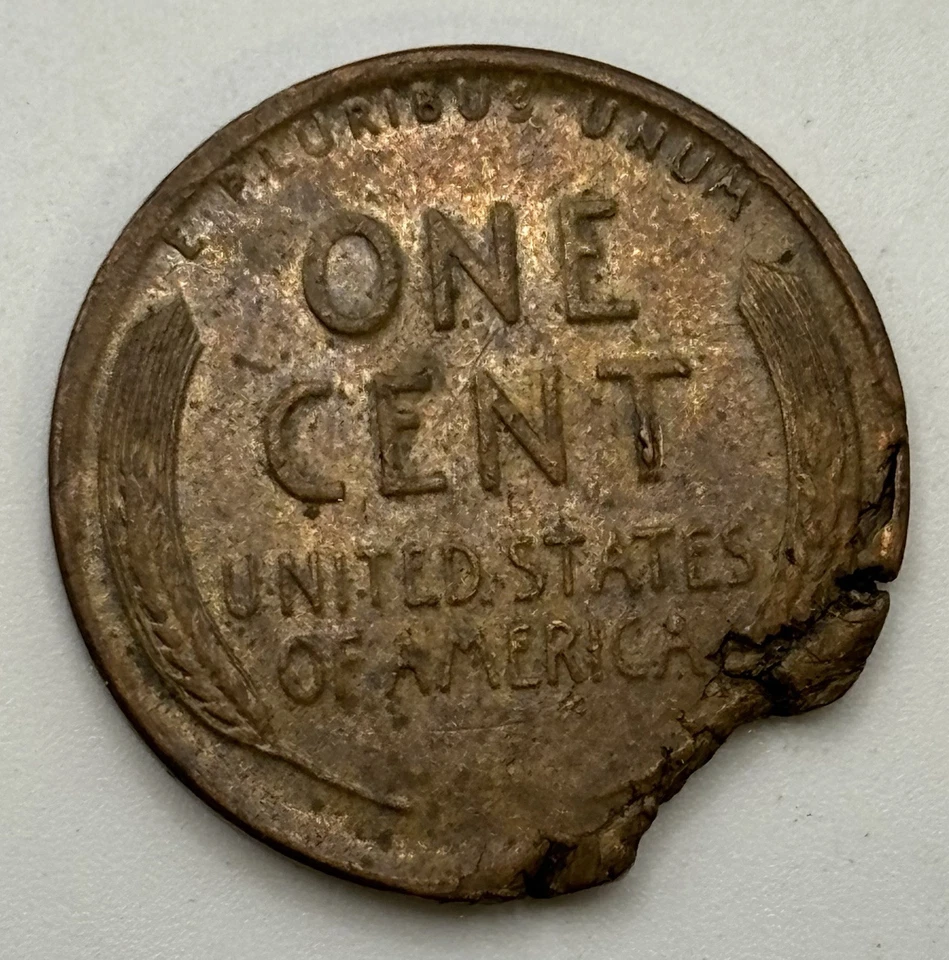 1958-D  Lincoln Wheat cent - Ragged Clip (Defective Planchet) Error X-430 - Image 2 of 2