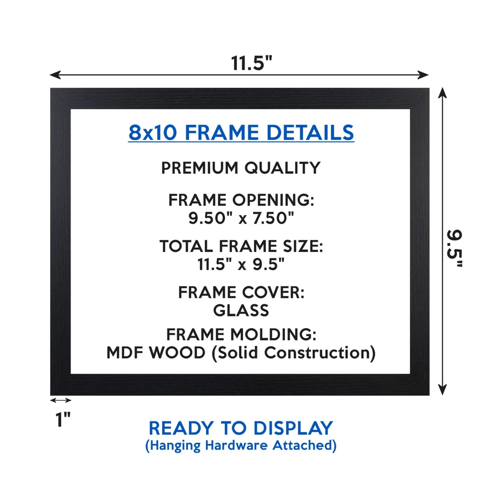 Framed ERNIE BANKS Photo Picture CHICAGO CUBS @ Wrigley Field 8x10 or 11x14 (W6) - Image 3 of 4