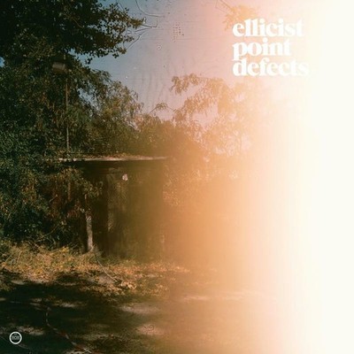 Ellicist Point Defects LP Vinyl MM165LP NEW