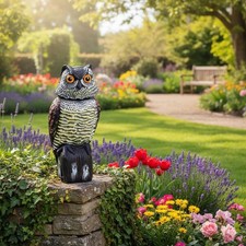 Gufo Scaccia Piccioni, Spaventapasseri – Dissuasore per Uccelli.