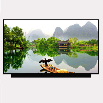 165HZ 17.3''WQHD IPS LAPTOP LCD SCREEN for Razer Blade Pro 17 RZ09 Gaming 2021