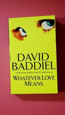 150806 David Baddiel WHATEVER LOVE MEANS