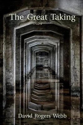 The Great Taking by David Rogers Webb USA Stock Premium Quality Fast Shipping