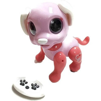 Misco Toys Fernbedienung Smart Pet BRANDNEU