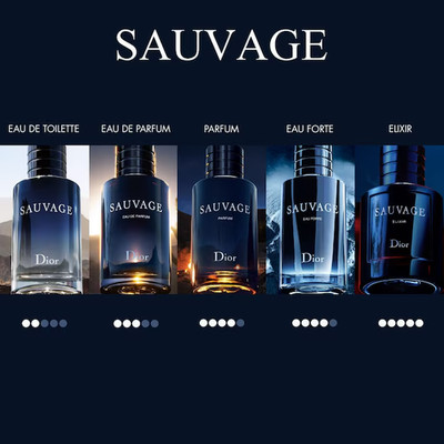 Dior Sauvage Elixir 60 ml Parfüm /Konzentriert NEU & OVP Unbenutzt NP.: über 200