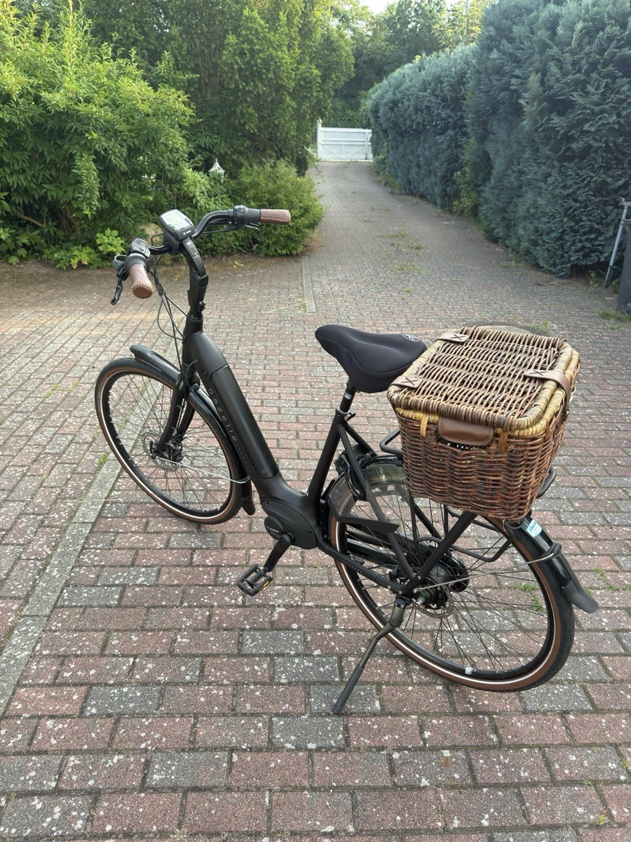 elektrofahrrad ab welchem alter JOBOBIKE Astra E-Bike Category:E Bikes MTB Cross_10 Körbe in vielen Größen Rahmengröße:46cm