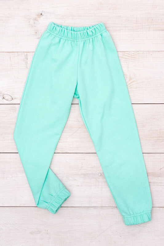 Pants (Girls),Demi-season, Demi-season,  Nosi svoe 6155-023-5 (svitla-miata)