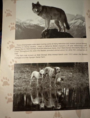WILDERNESS TRAILS Olympic Game Farm Signed by Lloyd Catherine Beebe Book History - Picture 14 of 14