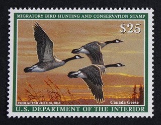CKStamps: US Federal Duck Stamps Collection Scott#RW84 $25 Mint NH OG Gum Crease