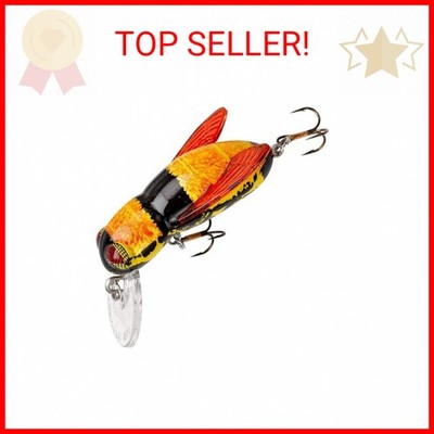 cabela's kids fishing pole Blue Fishing Rod For Kids Kid Casters Spincast Combo For Kids Cabela's