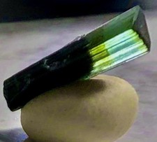 Beautiful Blue Cap Tourmaline Crystal Raw Gemstone Specimen AMERICAN USA Cali.