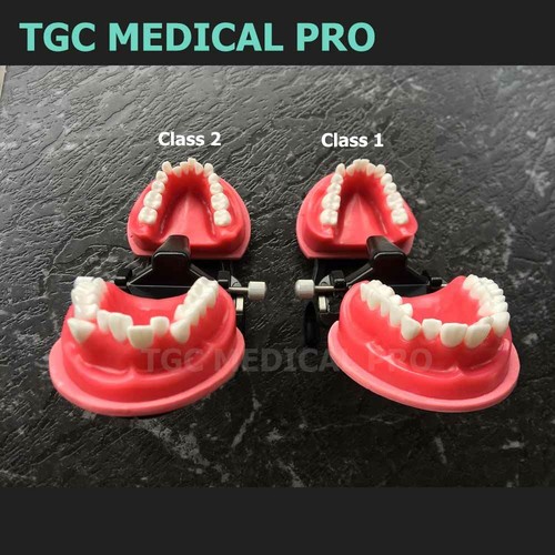 TGC MEDI PRO/Dental practical model/typodont/malocclusion Orthodontic