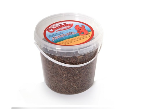 Freeze Dried Chubby Bloodworm for Cold Water &Tropical Fish - Fresh Premium Food - Picture 2 of 9
