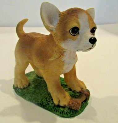 ebay chihuahua puppies