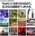 Foto 4 di 7