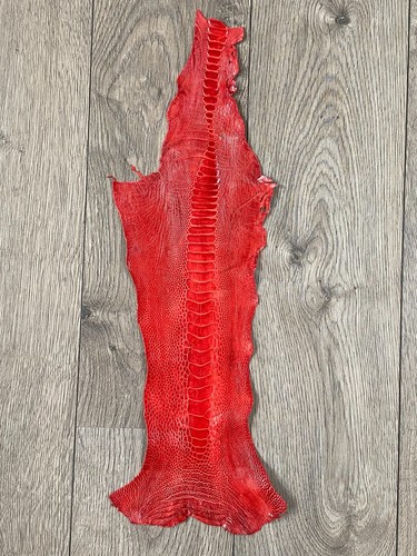 GENUINE OSTRICH LEG SKIN LEATHER HIDE EXOTIC LEATHER - Picture 3 of 6