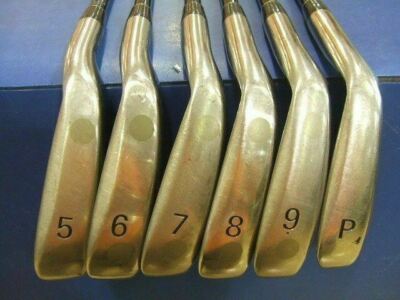 BRIDGESTONE - Jun様 BRIDGESTONE JAPAN LIMITED MODEL TOUR STAGE V-IQ 6Pcs Regular Flex