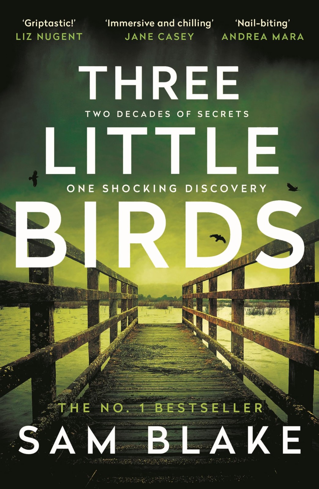 Sam Blake Unisex Multicolor Three Little Birds : 'The Modern-Day Agatha Christie' Steve - Image 6