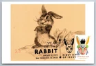 5744 Chinese Lunar New Year, Year of the Rabbit FDC Maxi Card w/Pictorial Cancel
