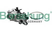 Borsehung Wasserpumpe MotorküHlung B11207 FüR VW Golf 7 Variant BA5 BV5 5G1 BQ1