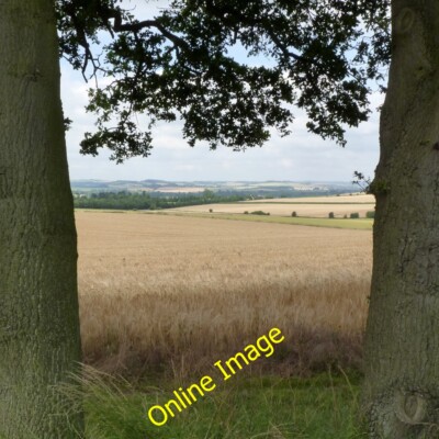 Foto 6x4 Zwischen zwei Bäumen Ipsden Blick vom Rand der Chilterns ac c2014
