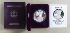 1991-S SILVER EAGLE DOLLAR PROOF COIN WITH ORIGINAL US MINT PACKAGING & COA