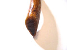 VINTAGE CUSTOM ANTLER HANDLE FIXED BLADE KNIFE ~ PREPPER PROTECT HUNT SURVIVAL — photo 4