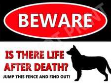 Beware of Border Collie Life After Death Dog House Decor Gifts Dog Pet Lovers