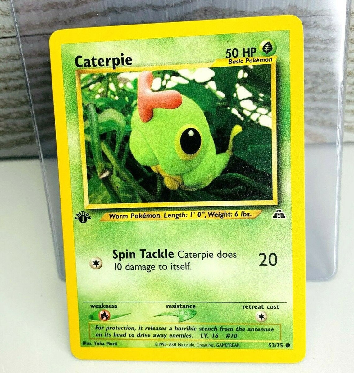 1st Edition Caterpie 53/75 Neo Discovery Pokemon Card | eBay