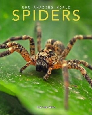 Spiders Kay De Silva