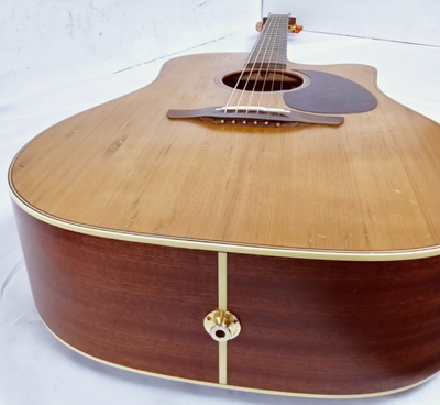Takamine EAN10C Pro Series Dreadnought Acoustic-Electric Guitar | eBay