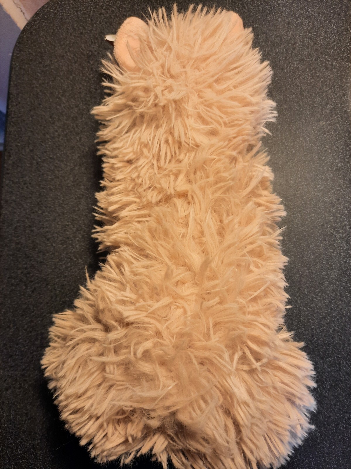 Picture 4 of 5