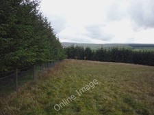 Photo 6x4 Footpath to Whitray Lowgill/SD6564 The right of way runs along c2011