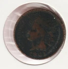US Rare Old West 1901 Indian Head Penny Coin American Collection Shield Cent USA