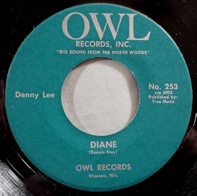 HEAR IT 60's Wis. Garage 45 rpm record Denny Lee ''Diane'' from 1964