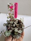 Photo 3/5