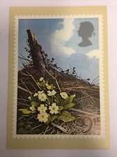British Flowers Primroses Stamp By Peter Newcombe For Post Office Postcard