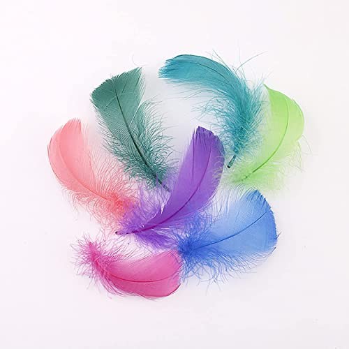 800pcs Colorful Feathers 20 Colors Craft Feathers 3-5 Inches Multi Color - Picture 5 of 8