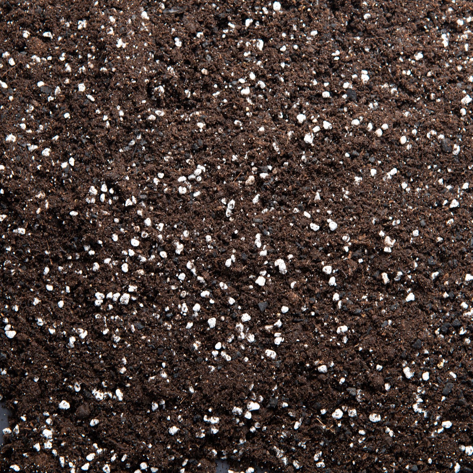 Premium Houseplant Potting Mix with activated Biochar, potting soil for indoor