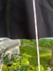 Bild 6 von 20